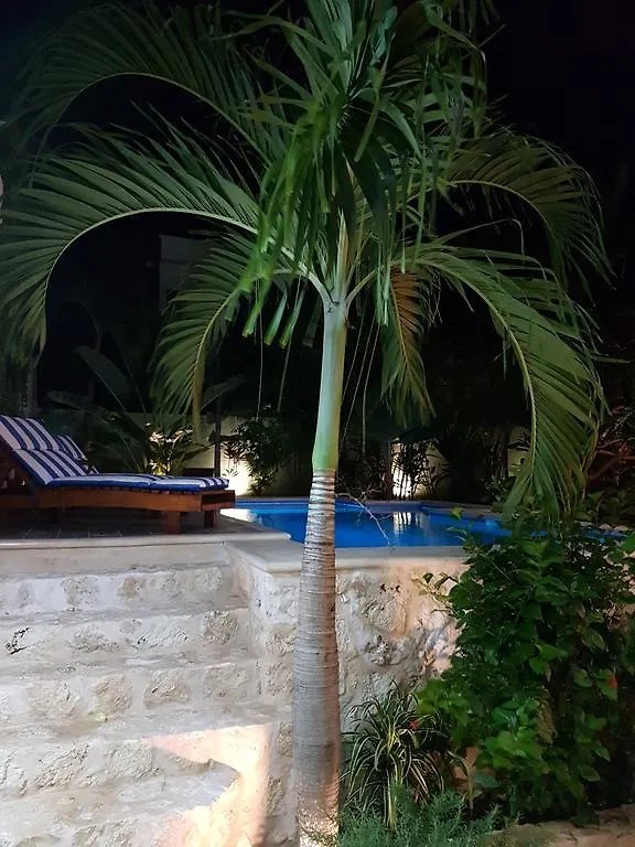 Villa Las Piedras Tulum Apartment